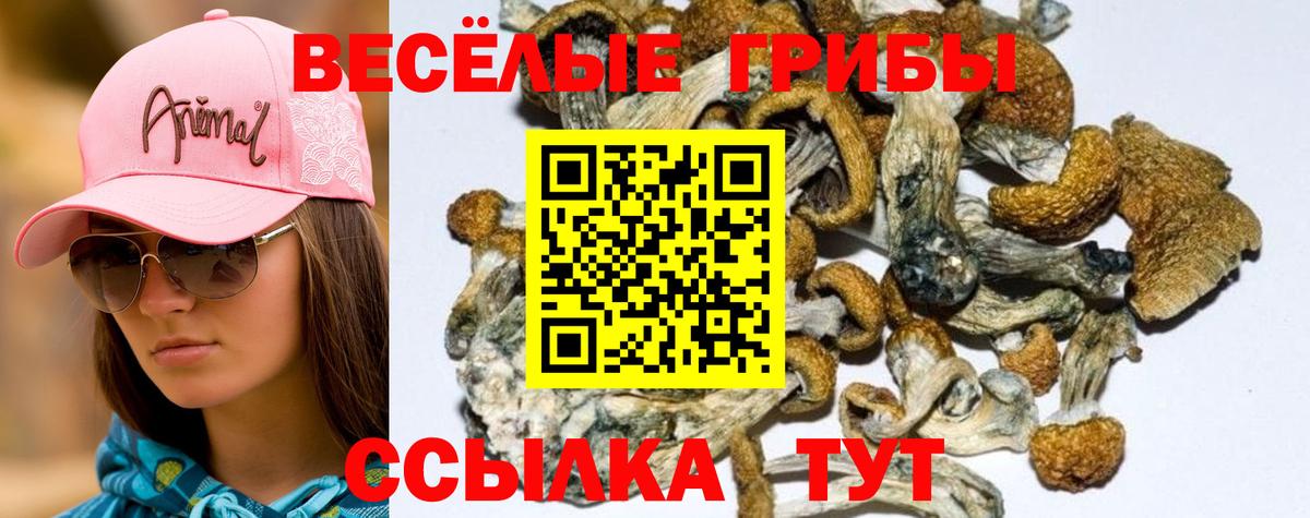 Тобольск  где купить наркоту  Вход с VPN  Псилоцибиновые грибы Magic Shrooms 