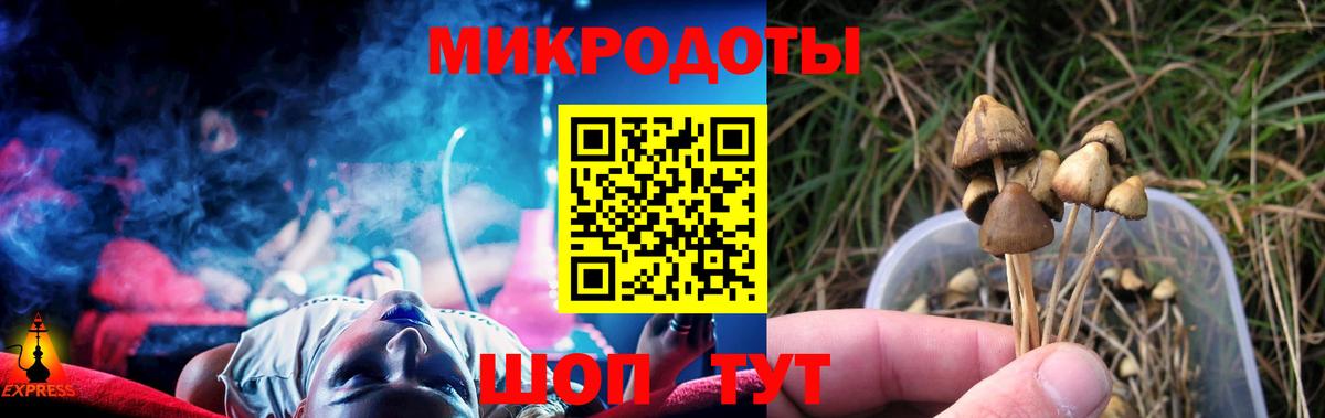 Галлюциногенные грибы мухоморы Тобольск